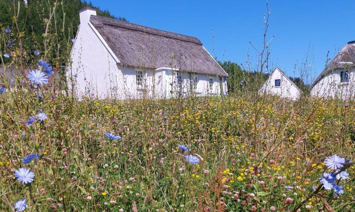 Corofin Lake Cottages Dış mekan fotoğraf